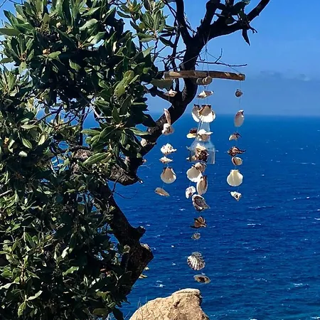 Sophia * Costa Paradiso